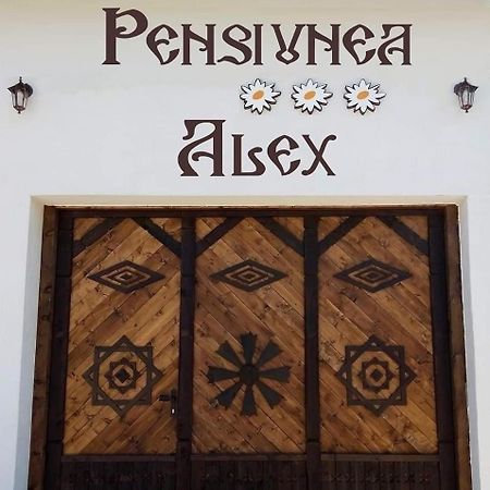 Pensiunea Alex Marga Εξωτερικό φωτογραφία